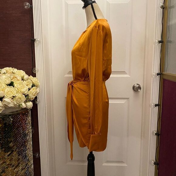 Hello Molly satin mini dress, size 4 - Picture 6 of 10